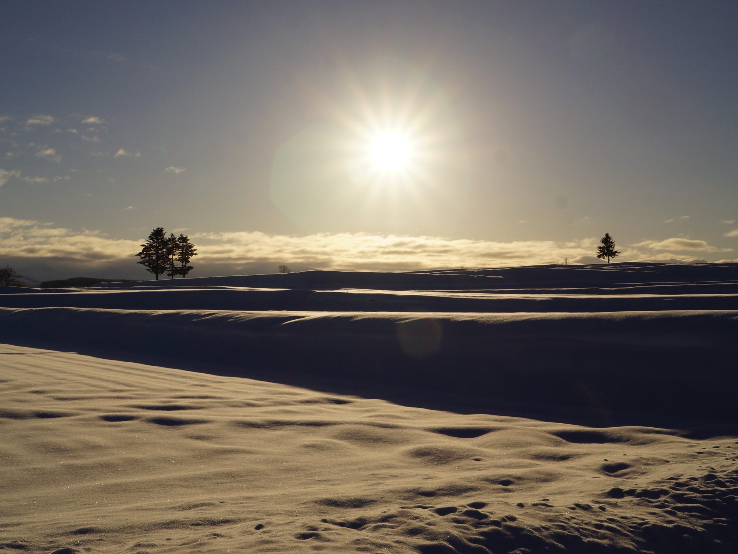 令和７年１月１日発行